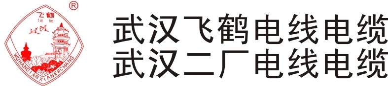 h늾S